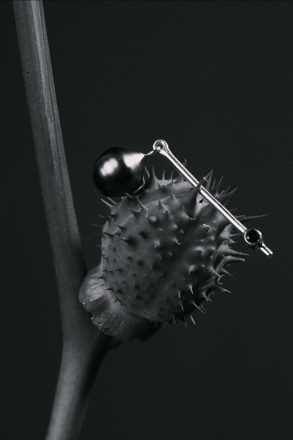 BUD EARRINGS / black diamond + tahitian pearl